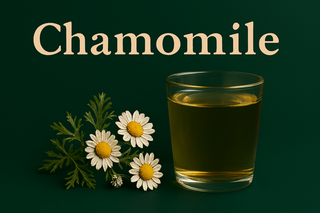 Chamomile herbs alongside a clear glass of Chamomile infusion - Greenbiebooks
